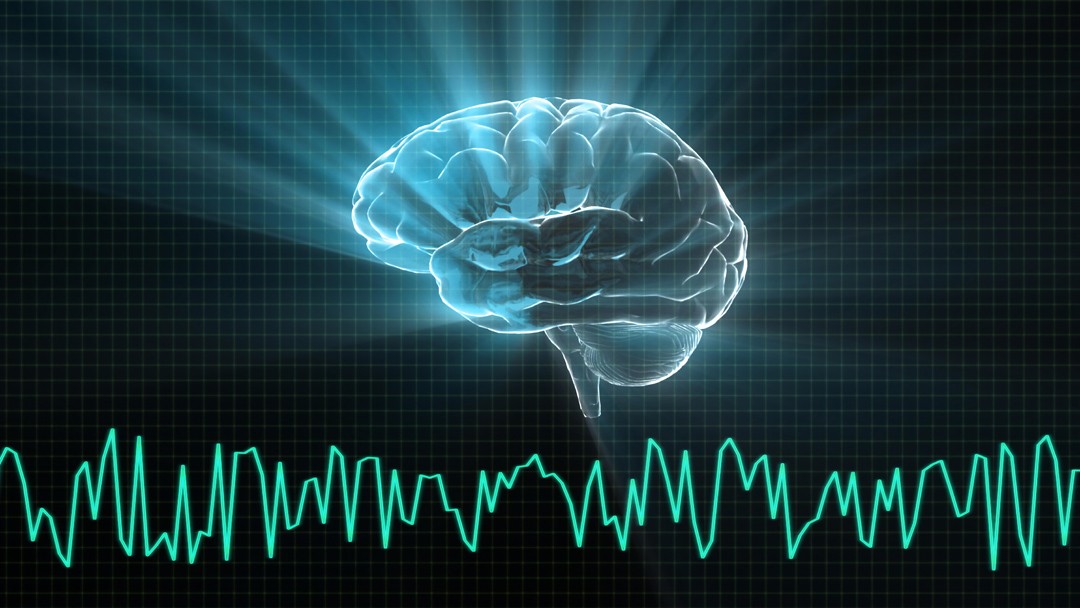 fundamentals-of-how-brains-learn