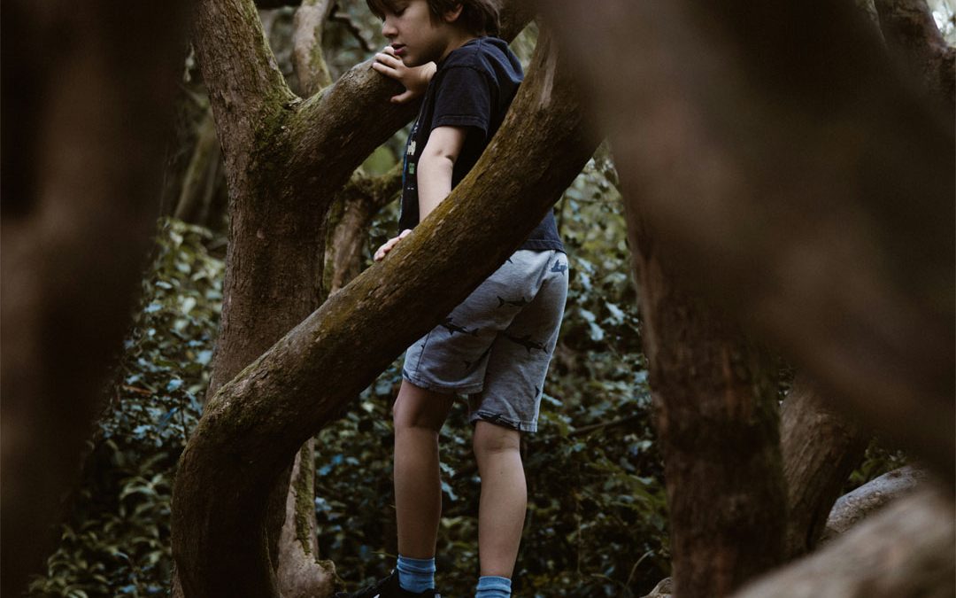 The Stunning Discovery: Children Actually Need Play