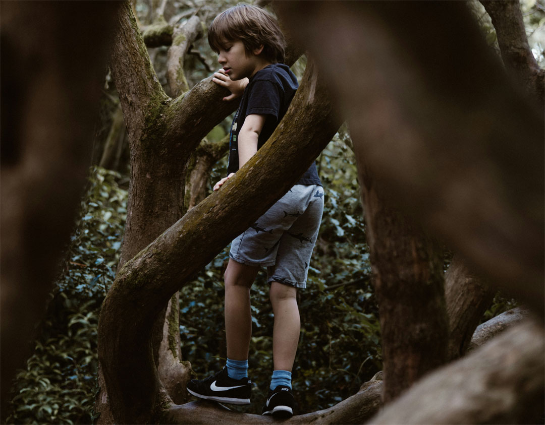 kid-climbed-tree-by-annie-spratt-at-unsplash